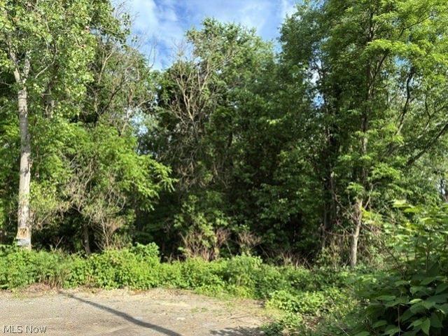 Land for sale in Colliers, West Virginia