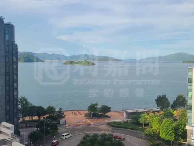 提供 出租 的 公寓