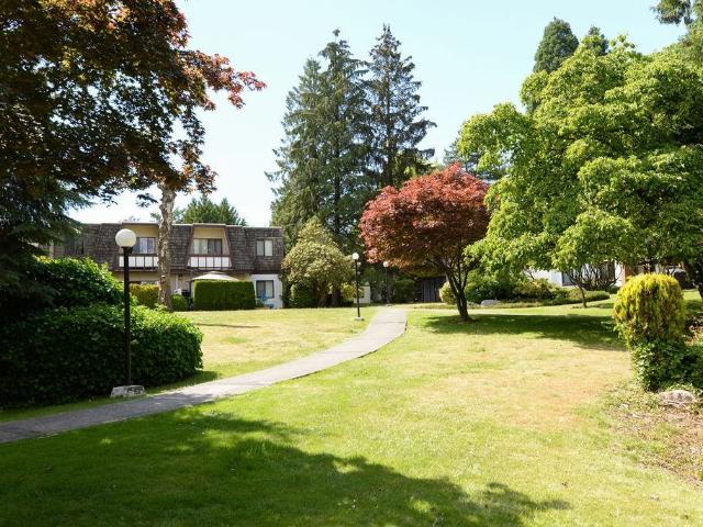 Apartment for rent in Vancouver, British Columbia