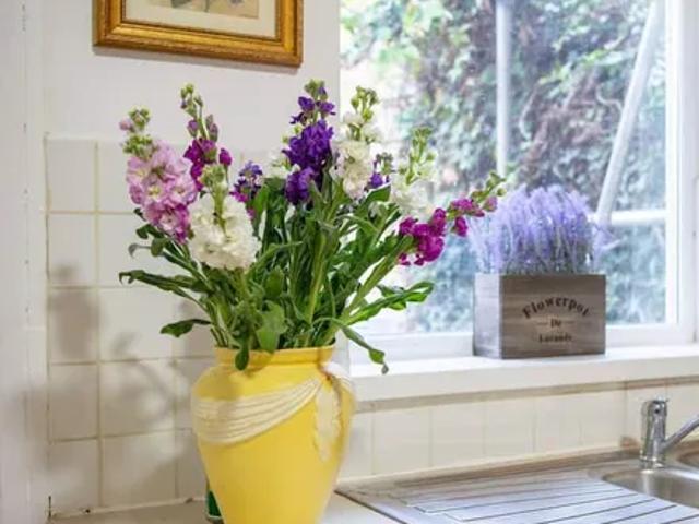 House for rent in Ham, Greater London