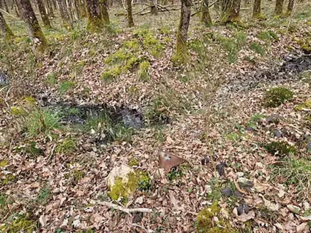 Terrain vente à Romorantin-Lanthenay, Langon