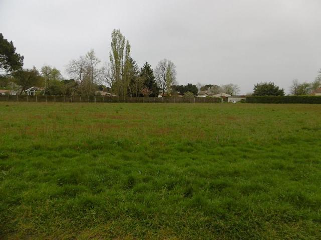 Terrain vente à Langon