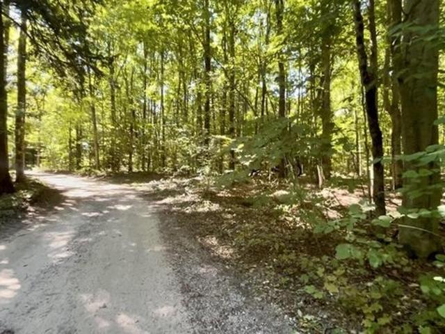 Land for sale in Green Lake, Michigan