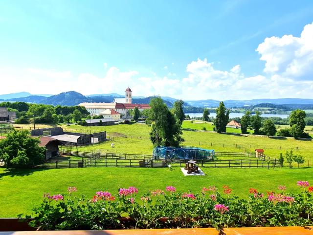 Apartment mieten in Drasendorf, St. Georgen am Längsee