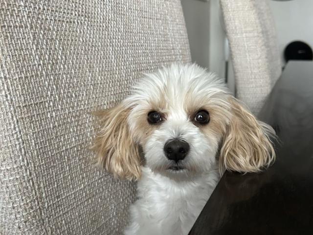 Rum hyra i Botkyrka, Stockholm