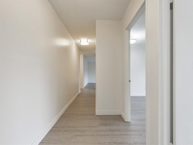 Apartment for rent in Wedgewood, Alberta