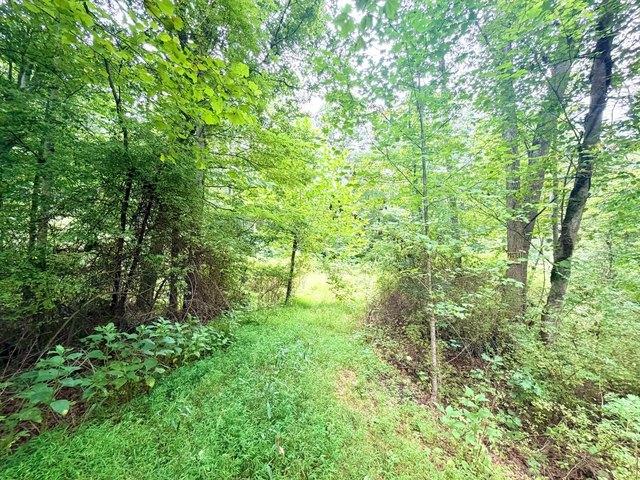 Land for sale in West Virginia