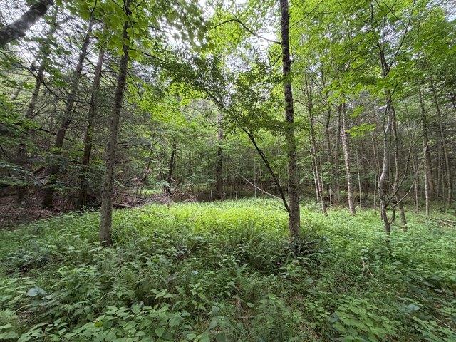 House for sale in West Virginia