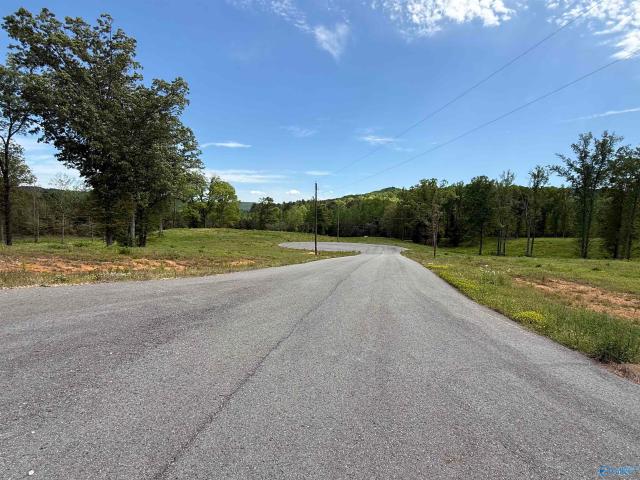 Land for sale in Etowah, Alabama