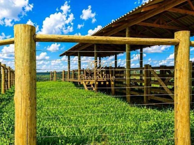 Sítio e chácara venda em Região Geográfica Imediata de Curitiba, Região Metropolitana de Curitiba