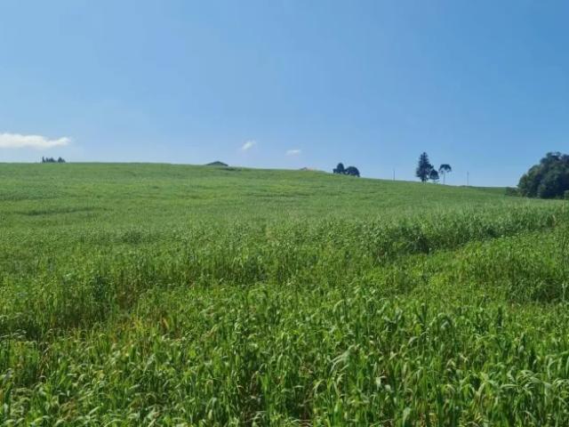 Fazenda venda em Região Geográfica Imediata de Curitiba, Região Metropolitana de Curitiba