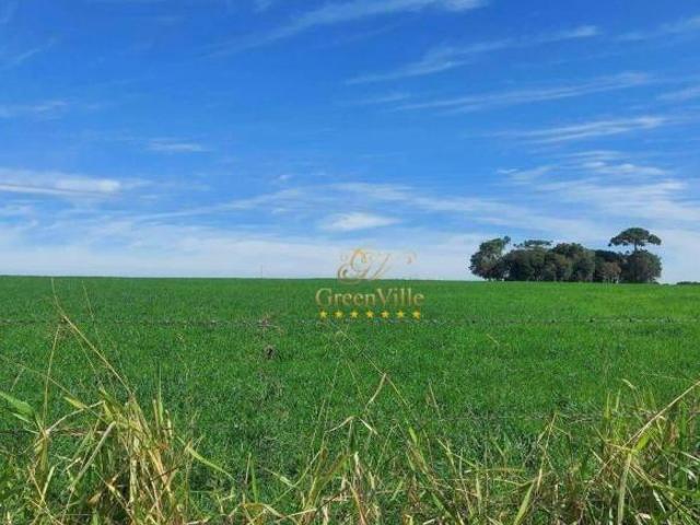 Sítio e chácara venda em Região Geográfica Imediata de Curitiba, Região Metropolitana de Curitiba