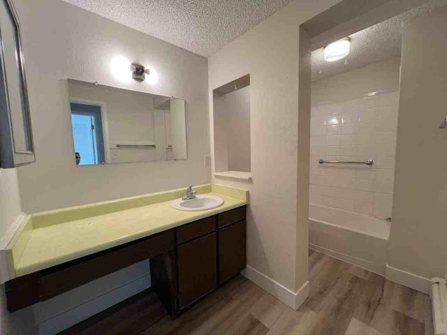 Apartment for rent in Fort Collins, Colorado