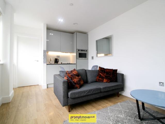 Apartment for rent in Farley Hill, Spring Park