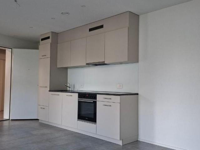 Apartment mieten in Villmergen, Bezirk Bremgarten