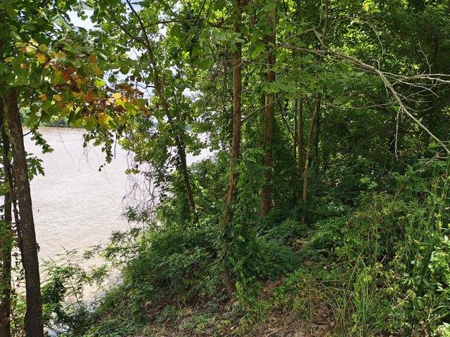 Land for sale in Marksville, Louisiana