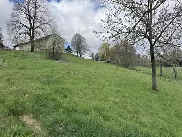 Terrain vente à Yssingeaux, Lapte
