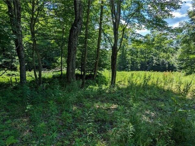 Land for sale in Laurens