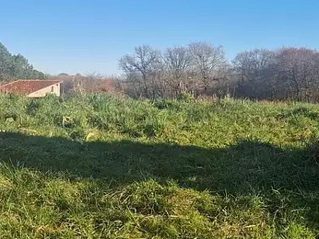 Terrain vente à France métropolitaine, Larée