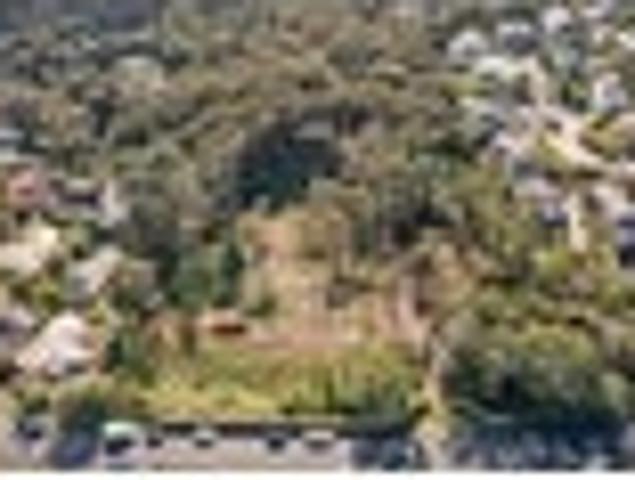 Land for sale in Wairau Valley