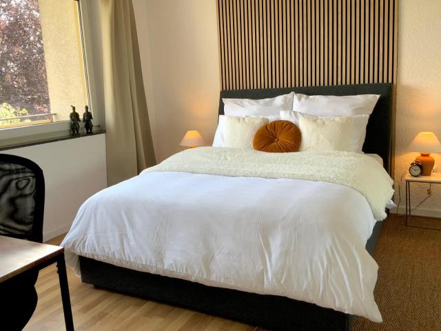 Apartment mieten in Ludwigshafen-Friesenheim, Ludwigshafen am Rhein