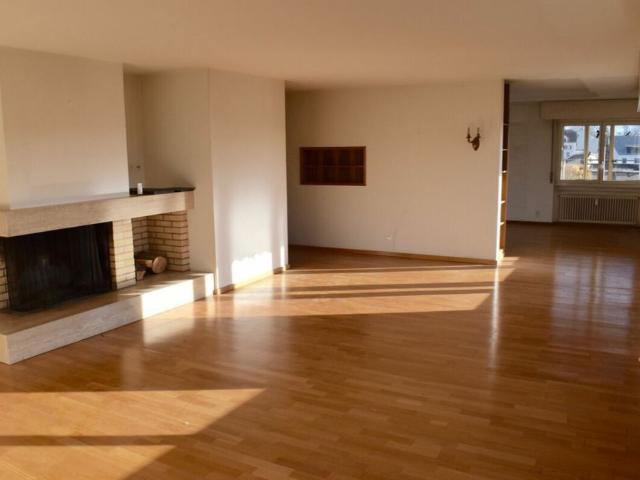 Apartment mieten in Dürnten, Zürich