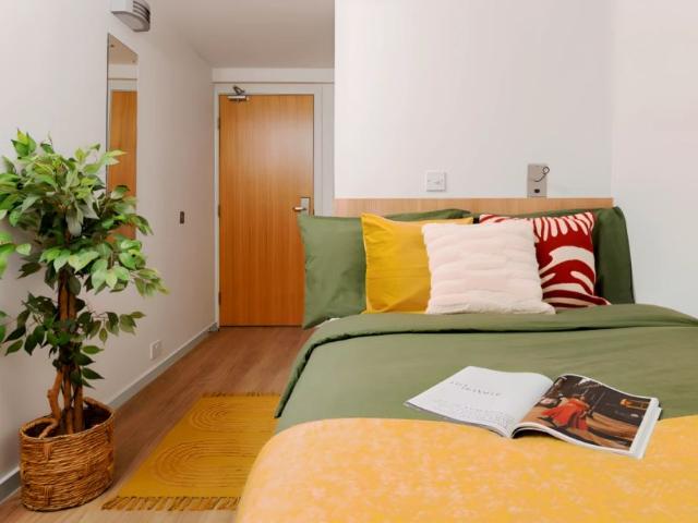 Room for rent in Lauriston, Scotland