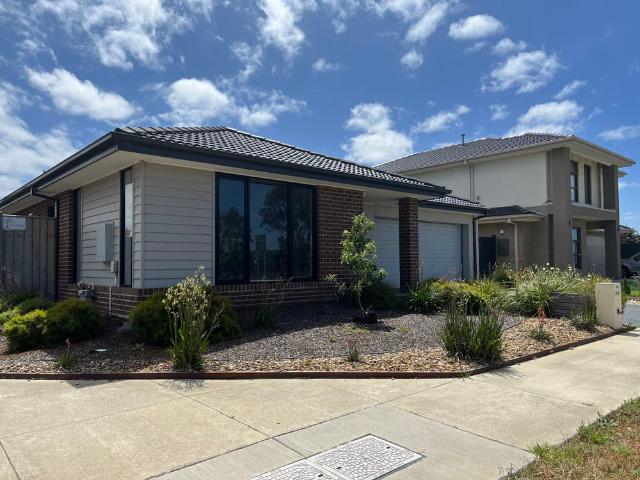 House for rent in Geelong, Victoria