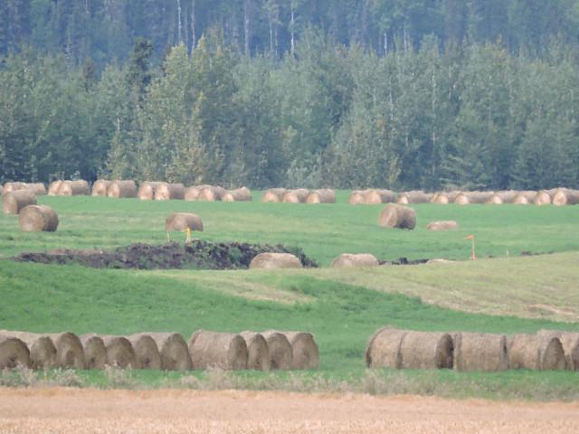 Land for sale in Vancouver, British Columbia