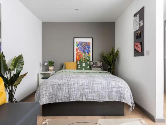 Studio for rent in City Centre, South Yorkshire
