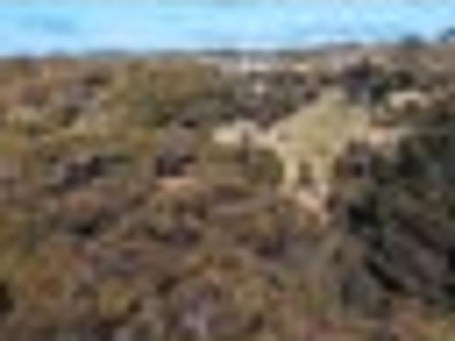 Land for sale in Oban, Stewart Island / Rakiura Community