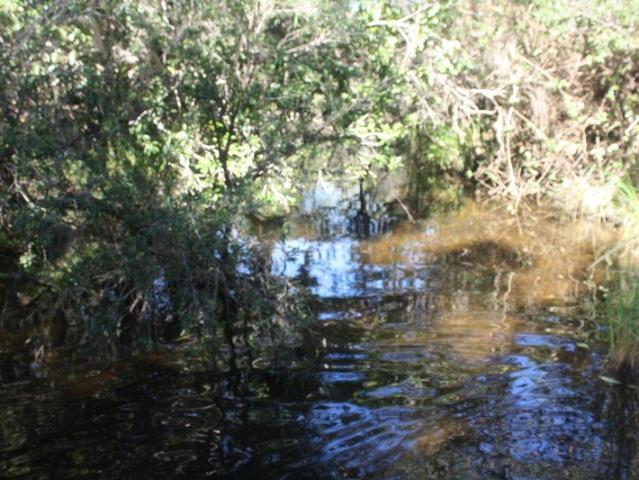 Cottage for sale in Rosedale, Queensland