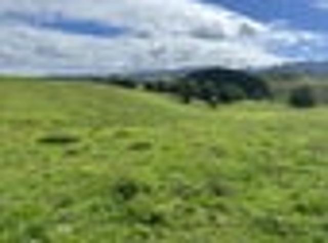 Land for sale in Waikato