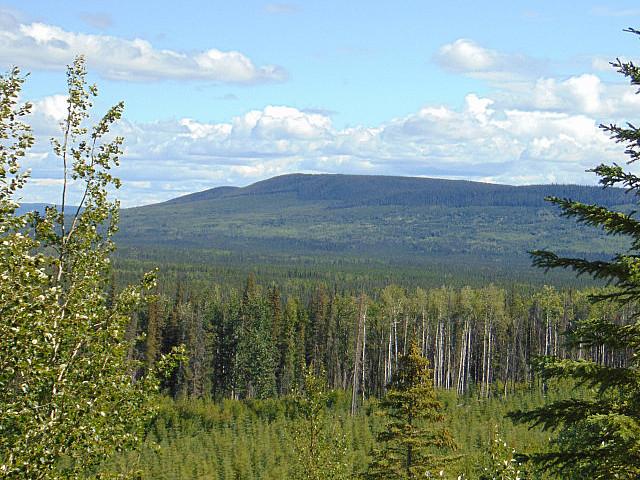 Land for sale in Olds, Alberta