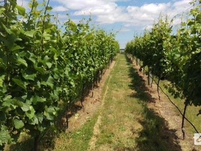 Land for sale in Beechworth, Victoria