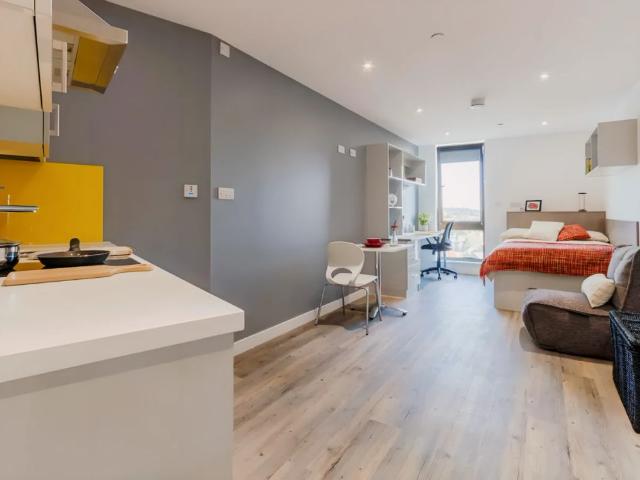 Studio for rent in Crockherbtown, Falcon Lodge