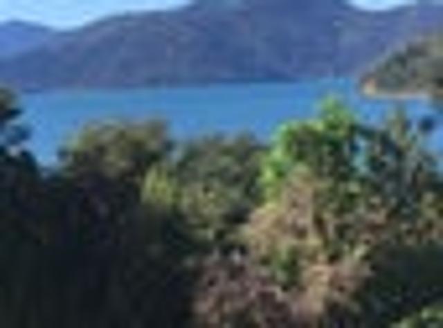 Land for sale in Marlborough