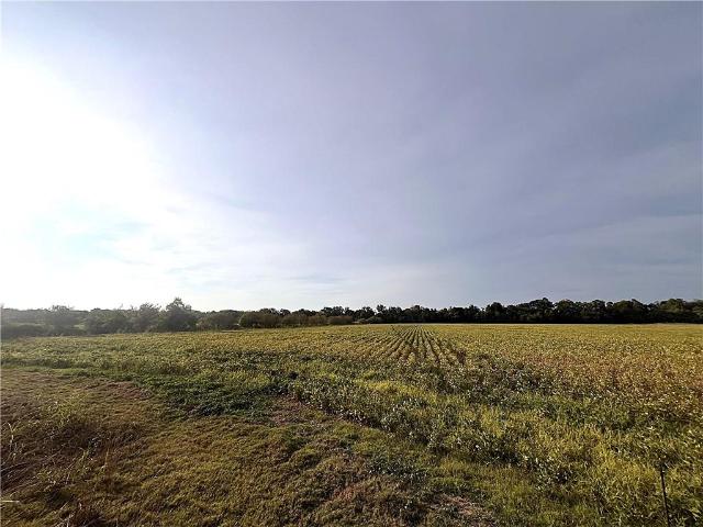 Land for sale in Mansura, Avoyelles Parish