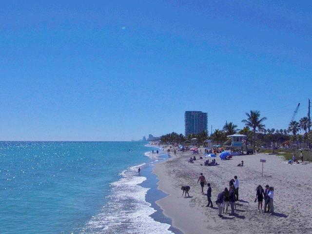 Room for rent in Dania, Florida