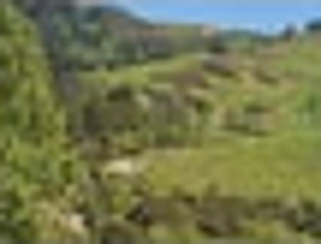Land for sale in Western Bay of Plenty District, Bay of Plenty