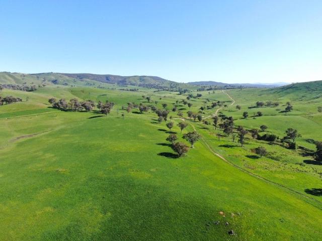 Cottage for sale in Holbrook, New South Wales