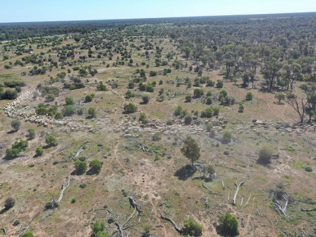 Property for sale in Bollon, Queensland