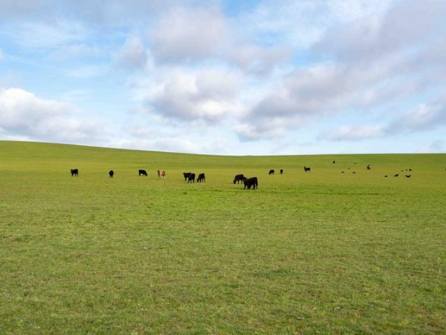 Property for sale in Rushy Lagoon, Tasmania