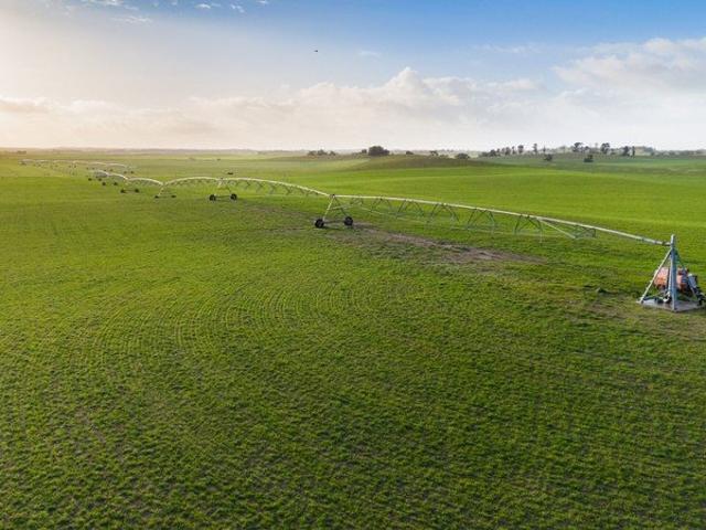 Acreage for sale in Tintinara, South Australia