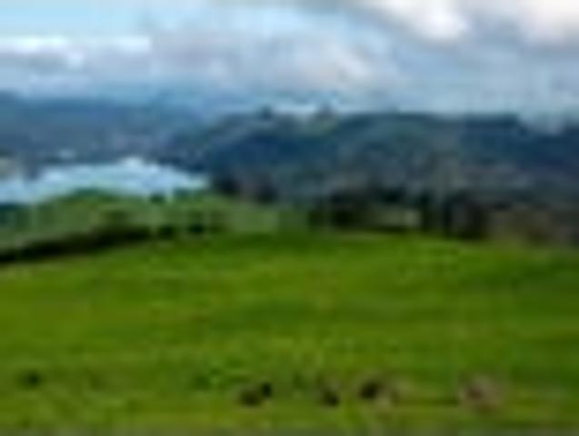 Land for sale in Bay Of Plenty