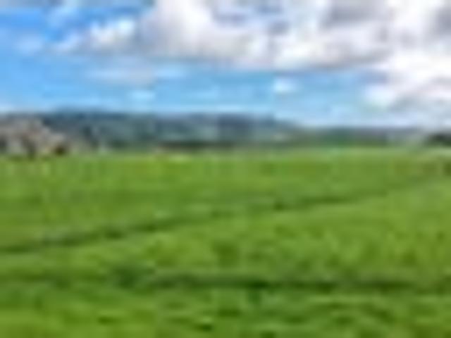 Land for sale in Waikato District, Waikato