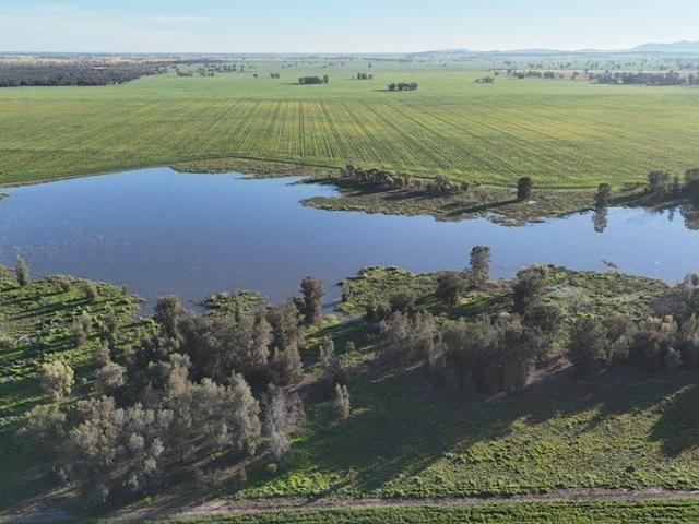 Cottage for sale in Caragabal, New South Wales