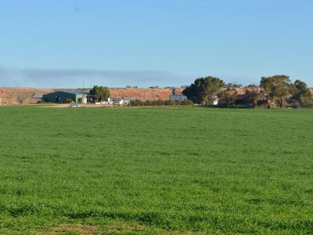 Cottage for sale in Burdett, South Australia