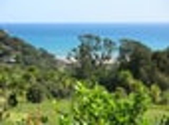 Land for sale in Great Barrier Island