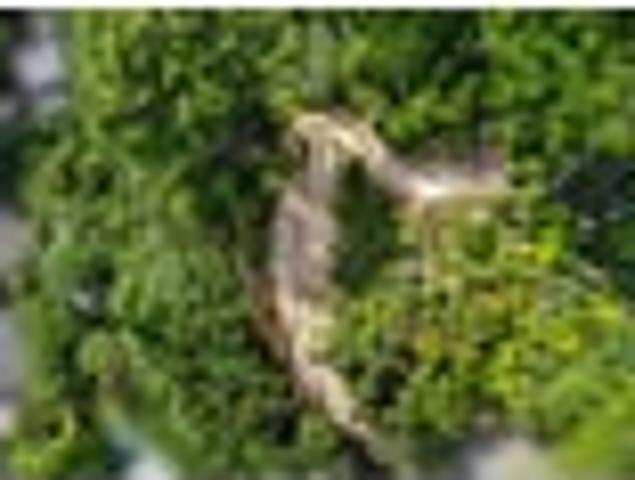 Land for sale in Days Bay, Wellington